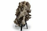 Dark Smoky Quartz Crystal Cluster on Metal Stand - Brazil #300616-3